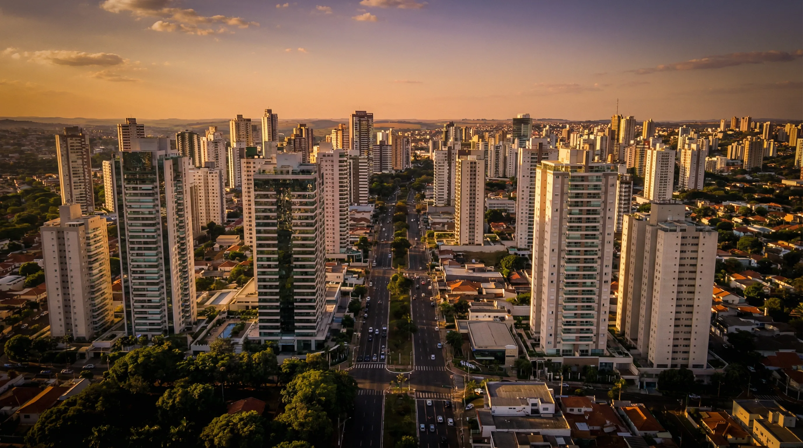 Ribeirão Preto Skyline